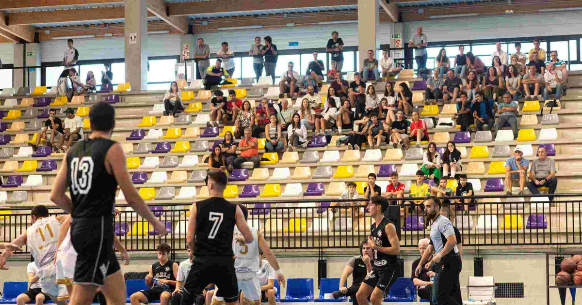 Semillas Adolfo Martínez and Transler Set for Consecutive First