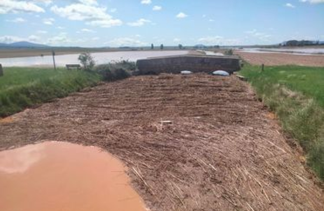 Una acequia, totalmente taponada y ejerciendo de 'balsa' con los consiguientes daños a los cultivos.