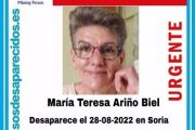 Cartel con el rostro de la mujer desaparecida en Soria. HDS