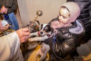 Una tradición para proteger a los animales