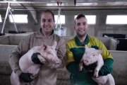 Hugo y Héctor forman parte del equipo de Guillermo Moreno con los que trabaja en los núcleos genéticos de Copiso y en ocho granjas de recría.