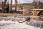 Un paseo junto al Duero sirve como muestra de la bravura de las aguas