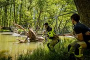 El Cangrejo del Duero fue arrastrado por las lluvias torrenciales