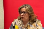 Esther Pérez, portavoz del PSOE en Diputación.