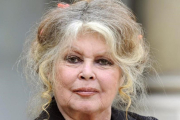 Brigitte Bardot, en una imagen del 2007.-/ ERIC FEFERBERG