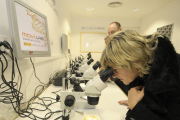 La edil de Educación, Rita López, mira a través de un microscopio ubicado en el laboratorio móvil. / ÚRSULA SIERRA-
