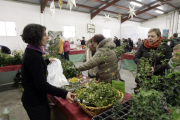 Puestos en la feria que se celebró en Oncala en 2019.-HDS