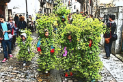 Mayos del Bierzo-