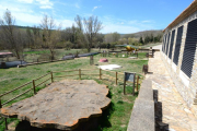 Aula Paleontológica de Villar del Río-A. M.