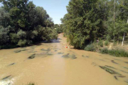 Zona del río Duero a su paso por San Esteban.-HDS