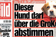 Portada del periódico Bild con la perra Lima.-EL PERIÓDICO