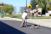 Un vecino de Ólvega paseando a su perro/ EVA SÁNCHEZ-