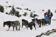 Un musher durante la primera prueba de la Soria Unlimited.-VALENTÍN GUISANDE