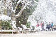 La nieve da paso a una mañana de fotos invernales. MARIO TEJEDOR (27)