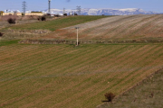 Terrenos sembrados en la comarca agraria de Soria.-V. GUISANDE