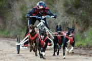 Jorge García durante una prueba sobre tierra.-