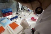 Actividad en un laboratorio, en una imagen de archivo.-ARCHIVO