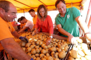 La consejera de Agricultura y Ganadería, Milagros Marcos, asiste a las labores de recolección de patata, en Carpio (Valladolid)-ICAL