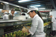 Ciudadanos chinos trabajando en una cooperativa agraria.-