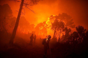 La Armada de Colombia señaló en un comunicado que los incendios se intensificaron entre julio y agosto por la temporada de calor y los fuertes vientos.-EFE