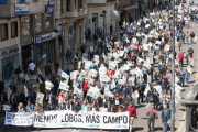 Ganaderos de toda la Comunidad autónoma se concentraron hoy a las puertas de la Delegación Territorial de la Junta de Castilla y León en Zamora, para protestar por los daños provocados por el lobo en las explotaciones y exigir soluciones-ICAL