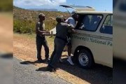 Una captura del vídeo de la detención de Dlamini.-