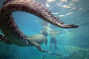 Imagen del programa 'Tarugos contra bestias' que emite Be Mad.-