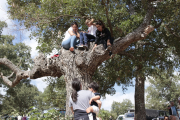 Personas subidas a un árbol antes del comienzo de la Saca.-G. MONTESEGURO