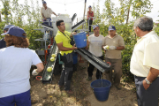 Imagen de archivo de las tareas de recolección en la planta de Nufri. / VALENTÍN GUISANDE-