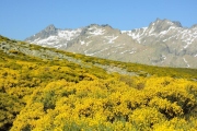 Aspecto que presentan las vertientes de Gredos durante estas semanas-EDU HINOJAL. FOTOGRAFÍA