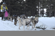 Un musher durante el Nacional de Media Distancia celebrado en Pinares en febrero de 2012. / VALENTÍN GUISANDE-