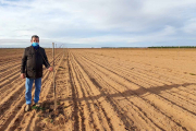 La plantación de Alfredo tiene cinco hectáreas.-E. M.