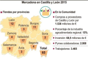 Mercadona en Castilla y León 2015-ICAL