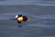 El cuerpo sin vida de un migrante ahogado, con chaleco salvavidas, flota en aguas exteriores de Libia, en una foto divulgada por la oenegé Proactiva Open Arms, el 24 de marzo.-AP
