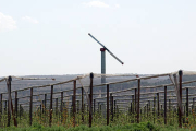 Los ventiladores que Nufri tiene instalados en La Rasa. / JAVIER SOLÉ-