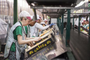 Mujeres trabajando en la selección de fruta de la empresa Fruilar.-DEFOTO / MARC CASALS