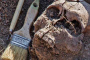 Exhumación en la llamada fosa de los maestros en Cobertelada en una imagen de archivo.-HDS