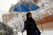 Una mujer iraní pasea por una calle nevada, en Teherán, el 28 de enero.-EFE / ABEDIN TAHERKENAREH