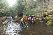 Muestreo y censo en aguas del Alto Duero y el Revinuesa. HDS