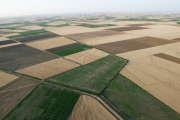 Vista aérea de varias parcelas de la comarca de Tierra de Campos palentina.-ICAL