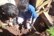 Los voluntarios sacan uno de los primeros huesos encontrados. / ASOCIACIÓN SORIANA RECUERDO Y DIGNIDAD-