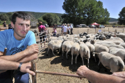 Barcones departe con ganaderos asistentes a la Feria de Vinuesa.-VALENTÍN GUISANDE