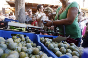 El acceso al comercio en el medio rural, un problema-L.A.T.