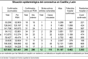 Situación epidemiológica del coronavirus en Castilla y León.-ICAL