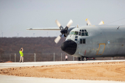 Hércules en el aeroparque de Garray.-MARIO TEJEDOR