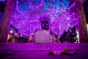 La Plaza de las mujeres ya luce morada. MARIO TEJEDOR (5)