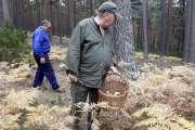 Recolectores en montes de Soria-Luis Ángel Tejedor