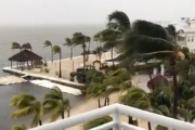 Palmeras balanceándose en Cayo Largo, Florida, como consecuencia del fuerte viento originado por el huracán Irma, en una imagen tomada del Facebook de Laura Kushner Gibson.-REUTERS