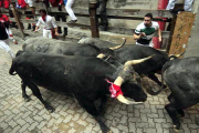 El toro se llevó un trozo de camiseta.-