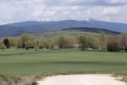 Ubicación en la que se pretende instalar la granja en el término de Cidones-M.T.